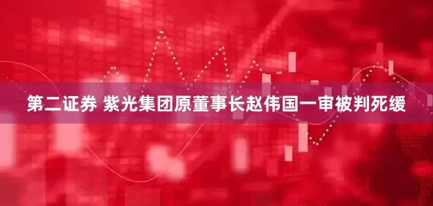 第二证券 紫光集团原董事长赵伟国一审被判死缓