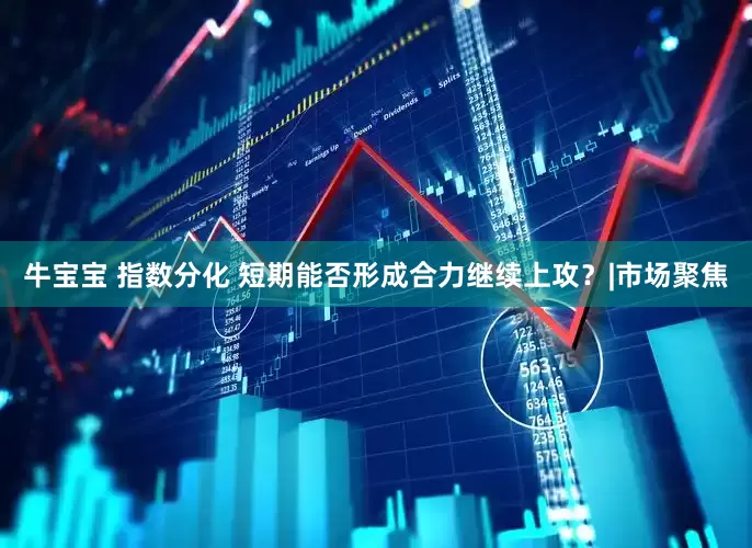 牛宝宝 指数分化 短期能否形成合力继续上攻?|市场聚焦