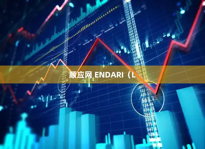顺应网 ENDARI（L